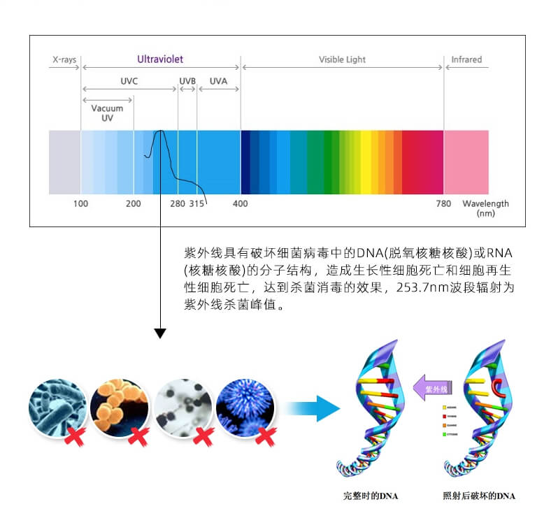 單端四針紫外線殺菌燈_08.jpg 單端四針紫外線殺菌燈_08.jpg